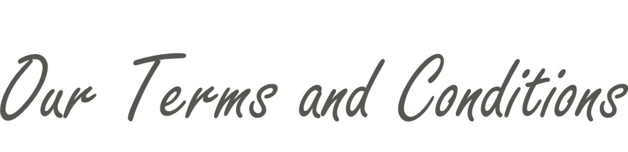 Our Terms and Conditions